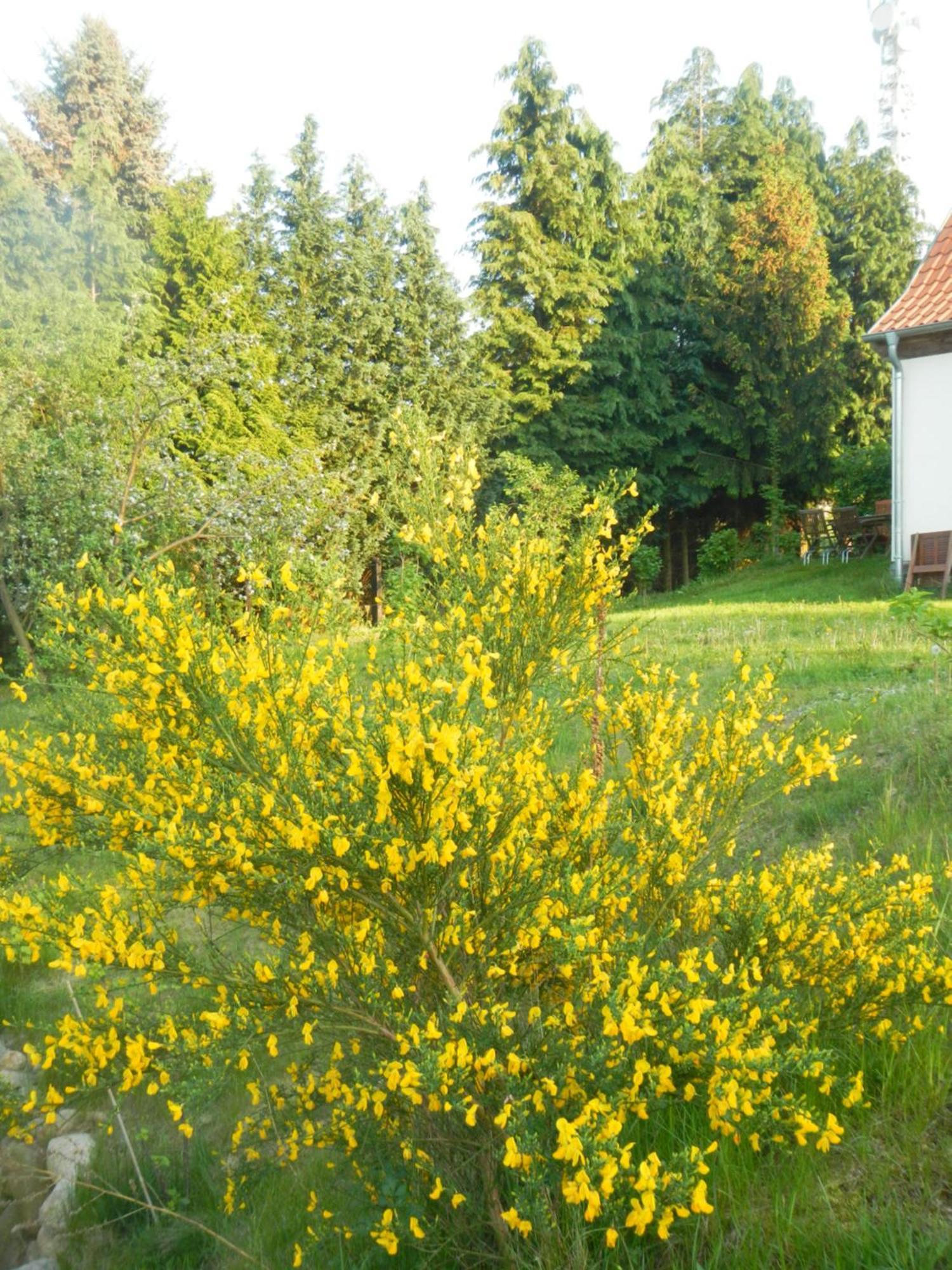 Ferienlandhaus Zempow Exteriér fotografie