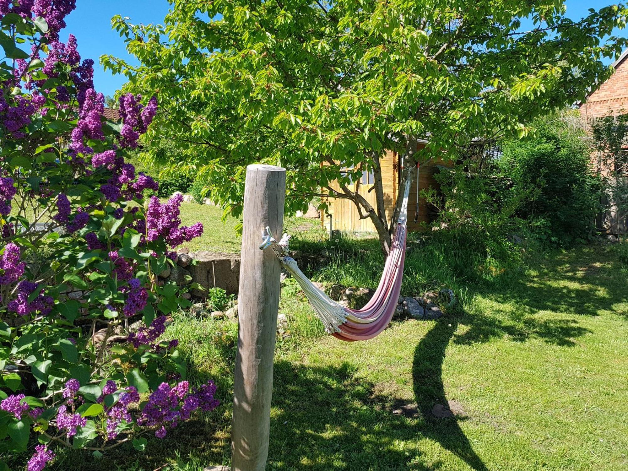 Ferienlandhaus Zempow Exteriér fotografie