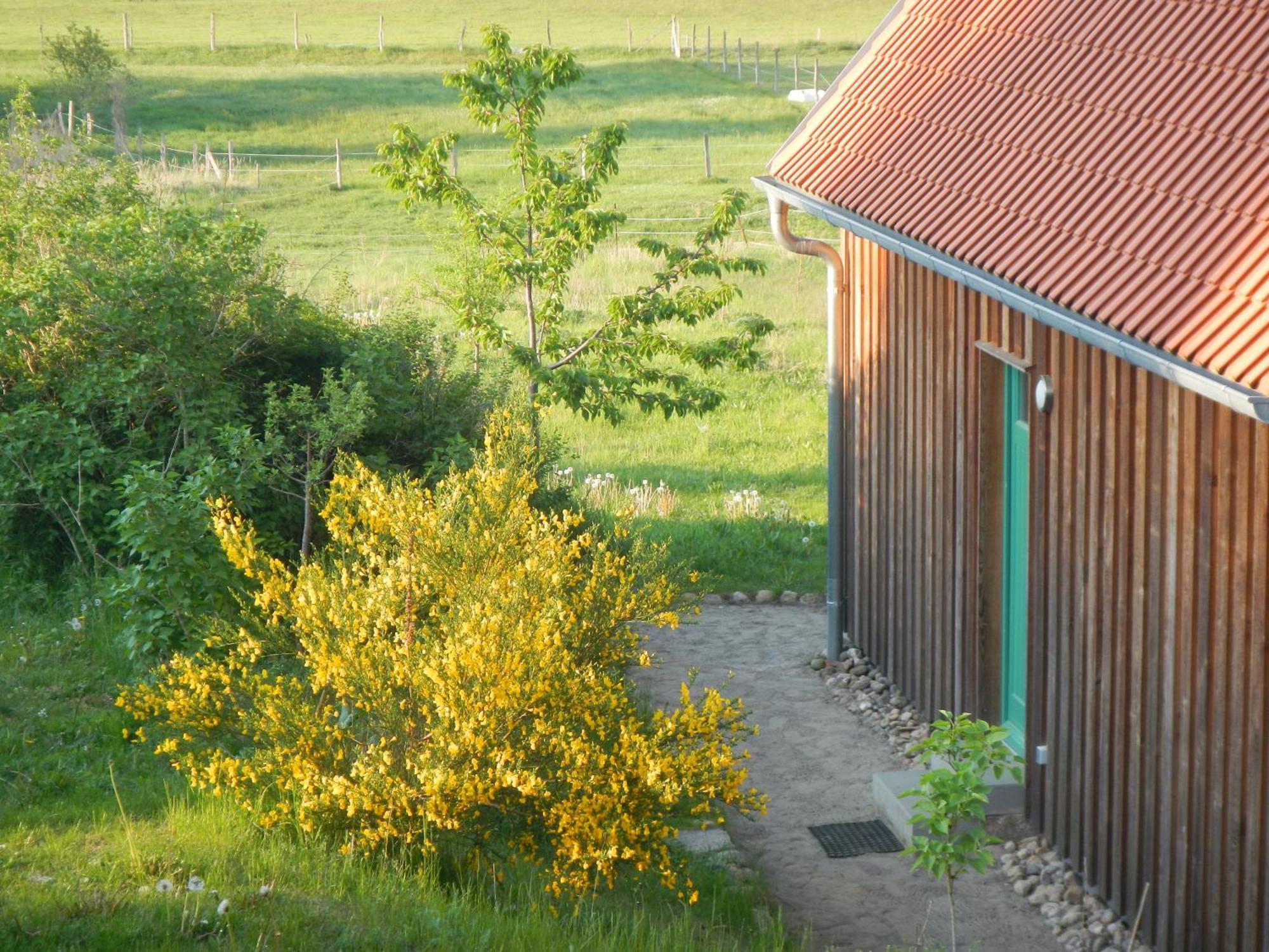 Ferienlandhaus Zempow Exteriér fotografie