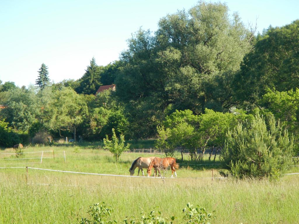 Ferienlandhaus Zempow Exteriér fotografie